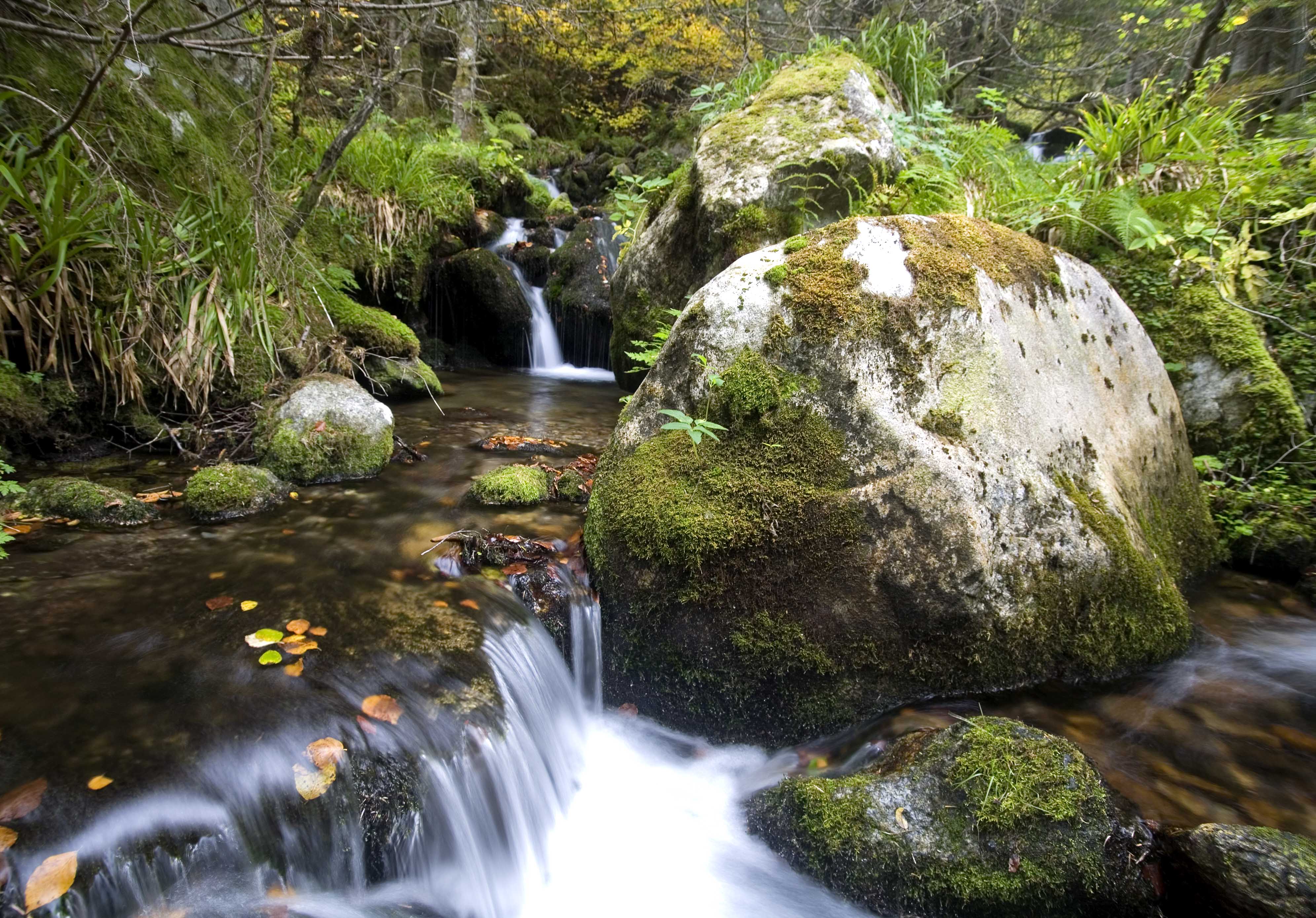 Waterfall Pyrenees France